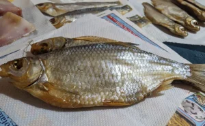 Донская рыбка в Сербии